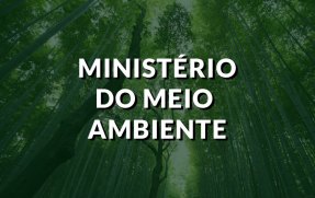 10676-ministerio-do-meio-ambiente-politize.jpg