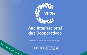 captura-de-tela-2025-01-13-110516130142.png