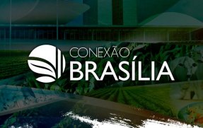 conexao-brasilia221055.jpg